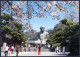 Delcampe - ⁕ JAPAN ⁕ Great Buddha Kamakura Statue, Himeji Castle, Shizuoka Mount - Bulle Train ⁕ 4v Unused Postcard - Sammlungen & Sammellose