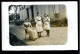 Delcampe - 33 VILLANDRAUT - 12 CPA Photos Famille De Chatelains En 1911 - Chateau Ou Demeure à Identifier à VILLANDRAUT - Autres & Non Classés