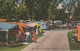 CARTE POSTALE ANCIENNE ORIGINALE COULEUR : LIFE IN A TRAILER PARK IN FLORIDA  ANIMEE ETATS UNIS - St Petersburg