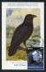 GREENLAND (2023) Carte Maximum Card - ESA Astronaut Andreas Mogensen To ISS, Corvus Corax, Grand Corbeau, Common Raven - Cartas Máxima