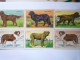 2023 - 3215  LOT De 5 IMAGES  PUB  "BLEDINE"   (CHIENS)   XXX - Non Classificati