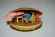 C101 Magnifique Miniature Dans Coquillage - Finesse Asiatique Sculpté - Coquillages