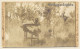 Little Baby & Teddy Bear In Garden / Highchair (Vintage RPPC 1907) - Jeux Et Jouets