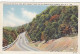 AK 182255 USA - New York - Catskill Mts. - Rip Van Winkle Trail - Catskills
