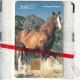 Télécarte ANDORRE - 100 U - NSB - Cheval - Cavall - Andorra