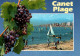 20071 CANET PLAGE  Vues Multiples ( Voiliers Baigneurs  Grappe Raisin )    ( 2 Scans) 66 - Canet En Roussillon