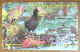 ANTIGUA & BARBUDA OISEAU COMMON MOORHEN EC$10 CARIBBEAN CABLE & WIRELESS SCHEDA PREPAID TELECARTE TELEFONKARTE PHONECARD - Antigua En Barbuda