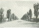 DACHAU - LAGERSTRASSE - WEISS / SCHWARZ -NOT TRAVELED- INTERNATIONALER AUSSCHUSS VON DACHAU - Dachau