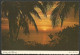 Bahamas-----old Postcard - Bahama's