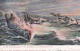 4837110Den Helder, Hr. Ms. Torpedobooten In De Branding Op De Heldersche Kust. 1904. - Den Helder