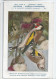 CP : Musée Royale D'histoire Naturelle De Belgique - Oiseaux - N°131 Chardonneret élégant - Signé Hub. Dupond (2 Scans) - Colecciones Y Lotes