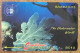 BARBADOS UNDER WATER WORLD B$ 40 CARIBBEAN CABLE & WIRELESS SCHEDA PREPAID TELECARTE TELEFONKARTE PHONECARD - Barbados