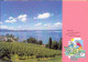 Schweiz Suisse 2001: Bodensee (Velo) Lac De Constance (bicyclette) Lago Di (CPI Entier  Bild-PK) Ungelaufen Non Circulé - Ciclismo