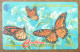 BRITISH VIRGIN ISLANDS PAPILLON BUTTERFLY US$10 CARIBBEAN CABLE & WIRELESS SCHEDA TELECARTE TELEFONKARTE PHONECARD - Virgin Islands