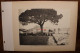Lot 2 Photo 1890's Hyères Jardin Du Gros Pin Sanatorium Du Mont Des Oiseaux Var (83)  Tirage Print Vintage - Lieux