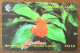 CAYMAN ISLANDS FLOWER FLEUR CI$ 10 CARIBBEAN CABLE & WIRELESS SCHEDA TELECARTE TELEFONKARTE PHONECARD CALLING CARD - Kaimaninseln (Cayman I.)