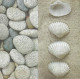 SHELL * CLAM * STONE * GRAVEL * NAPKIN * Csiga-Kagylo-Csillag-Koral 01 - Servilletas De Papel Con Motivos