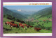 74 LE GRAND BORNAND Le Village Dans Une Ambiance D'Alpage  Photo B. Charrier  Troupeau De Vaches - Le Grand Bornand