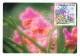 WALLIS & FUTUNA - Les ORCHIDES - CARTE MAXIMUM - Thème; FLEURS - MATA-HUTU - 1990 - TRES BON ETAT - Cartes-maximum