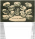 86 COUHE. Multivue En Souvenir 1907 (fine Nervure Coin Droit) - Couhe