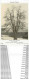 Carte Postal Fiche. British Trees Museum. Plantes Et Arbres. Alder Alnus Glutinosa N° 122 - Arbres