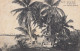 Jamaica Port Antonio - On The Road To Blue Hole Old Postcard 1912 - Jamaïque