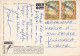 Jamaica Montego Bay Old Postcard Shell Clam - Jamaïque