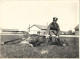 1938/1945 - Bruck An Der Leitha ,  Foto 23,5X17,5cm.  Gute Zustand, 3 Scan - Bruck An Der Leitha