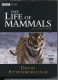 The Life Of Mammals David Attenborough - Dokumentarfilme