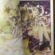 Delcampe - Doujinshi Magic Shrine Mahiro Miyase Art Book Illustration Japan Manga 03020 - Stripverhalen & Mangas (andere Talen)