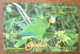 CAYMAN ISLANDS PARROT PERROQUET CI$ 10 CARIBBEAN CABLE & WIRELESS SCHEDA TELECARTE TELEFONKARTE PHONECARD CALLING CARD - Kaaimaneilanden