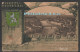 Steyr, General View, Mailed Ca 1905 - Steyr