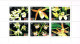Nouvelle Caledonie Caledonie Carnet YT C714 Extrait De La Feuille Des Six Timbres Orchidees Toronto Canada Neuf BE - Markenheftchen