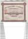 ACTION ET TITRE DE 100 Fr  CHARBUNION Siège à Paris N° 083228 Avec 23 Coupons 1927 Union Charbonnière Continentale - Mines