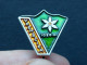 BADGE Z-74-1 - ALPINISM, Mountain, Mountaineering, VREMSCICA, SLOVENIA, FLOWER, FLEUR - Alpinismus, Bergsteigen