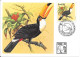 BRASIL 83 - TUCANOS - Spechten En Klimvogels