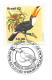 BRASIL 83 - TUCANOS - Piciformes (pájaros Carpinteros)