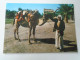 D199518   IRAQ   Irak -   Arc Of Ctesiphon Salman Pak - Baghdad -camel  1978 - Iraq