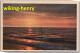 Wijk Aan Zee - Natuurvriendenhuis Banjaert - Zonsondergang - Naturfreundehaus Sonnenuntergang - Wijk Aan Zee