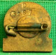 INSIGNE BROCHE BREVET SPORTIF POPULAIRE Numéroté , Bronze  émaillé Blanc , Années 30 EPINGLETTE DAME . OLD PIN'S  SPORT - Athlétisme