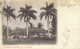 Cuba, HAVANA, Paisage Cubano, H. Palmas, Cuban Landscape (1904) Postcard - Cuba