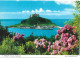 ST. MICHAEL'S MOUNT, CORNWALL, ENGLAND. UNUSED POSTCARD   Zq8 - St Michael's Mount