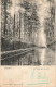 BELGIQUE - Beloeil - Un Fossé Dans Le Parc - Carte Postale Ancienne - Belöil