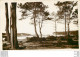 (MI) 7 X Photo Cpa 40 PAYSAGES DES LANDES - Castets