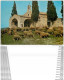 Photo Cpsm Cpm 13 EYGALIERES. Moutons à La Chapelle Saint-Sixte. Pour La Suisse 1975 - Eyguieres