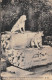 Asnières Sur Seine           92     Cimetière Des Chiens. Monument De  Marquise Et Tony     N° 047         (voir Scan) - Asnieres Sur Seine