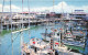 ETATS-UNIS - San Francisco - Fisherman's Wharf - Carte Postale - San Francisco