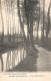 BELGIQUE - Beersel - Vue D'Alsemberg - Forêt - Carte Postale Ancienne - Beersel