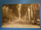 Vert Le Petit Chemin Conduisant à L'essonne, Très Bel état , Voyagée Environ 1920, Envoi En Lettre Verte 1,16€, Possibil - Vert-le-Petit