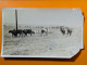 PHOTO Vers 1900 ETATS UNIS MISSOURI VILLE MILLS ?   Même Lot Que 1914152532 CHEVAL VACHE - Autres & Non Classés